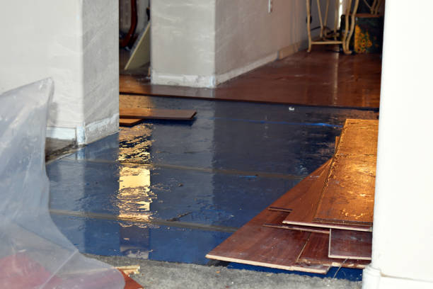 Professional Burst Pipe Cleanup technician working in Morris Plains, NJ